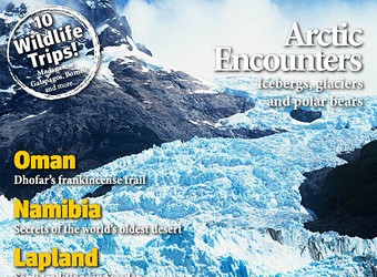 {Tips} Travel Inspiration Through Wild Junket Magazine